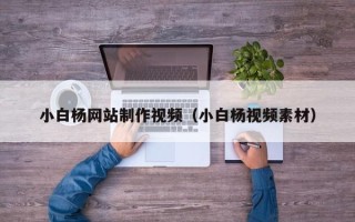 庄河小白杨网站制作视频（小白杨视频素材）