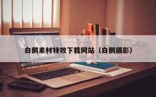 庄河白鹅素材特效下载网站（白鹅摄影）